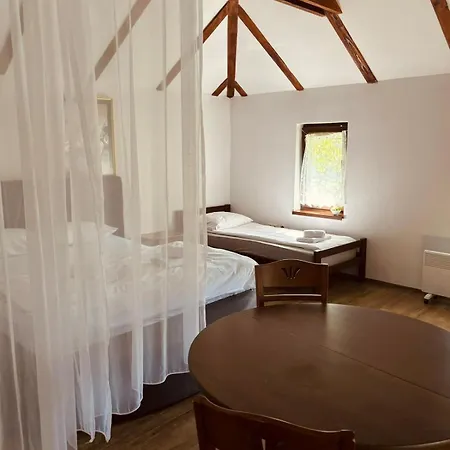 & Homes With The River View Apartment Bihac